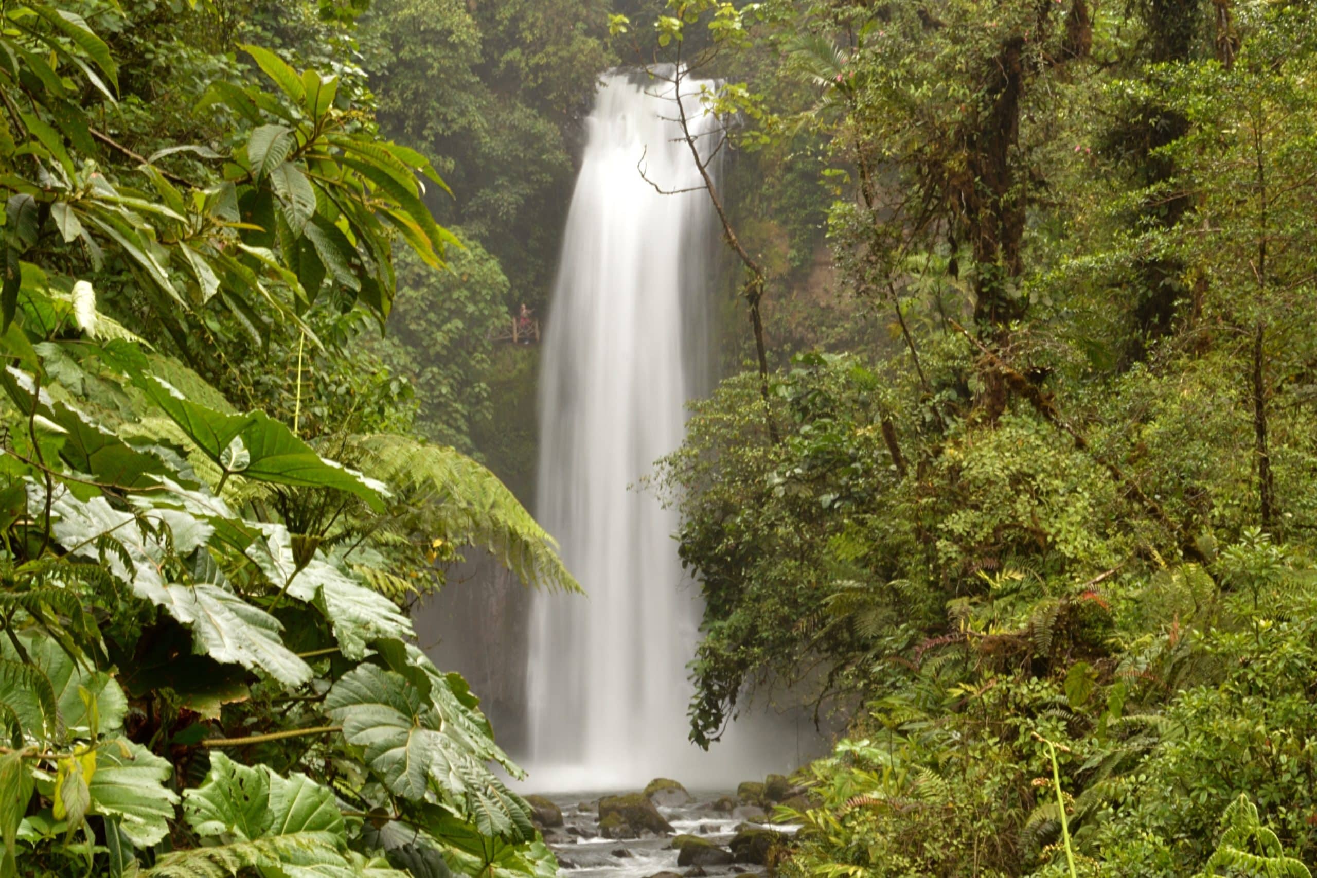 Le Costa Rica est-il vraiment un pays écologique ?