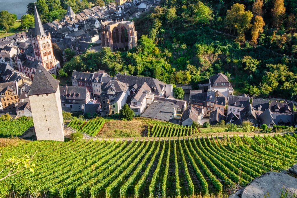 Bacharach
