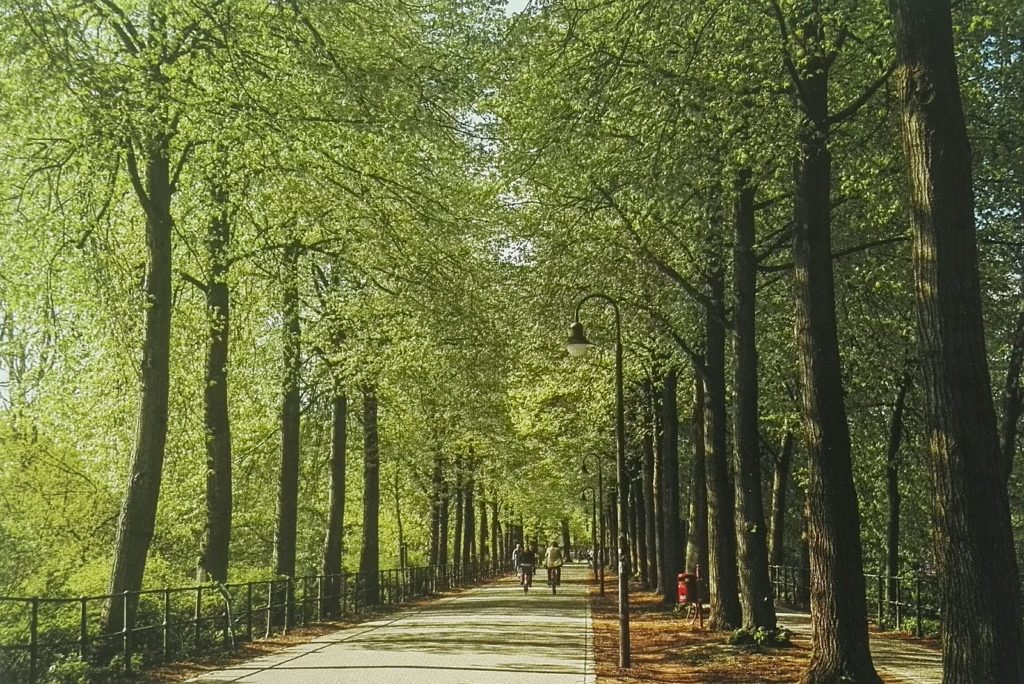 Promenade Münster