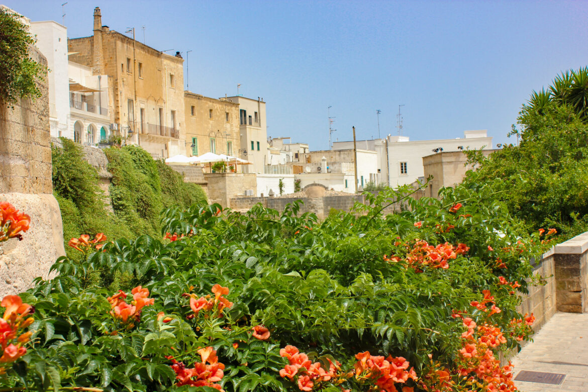 Que faire à Monopoli en Italie : tout pour un voyage parfait