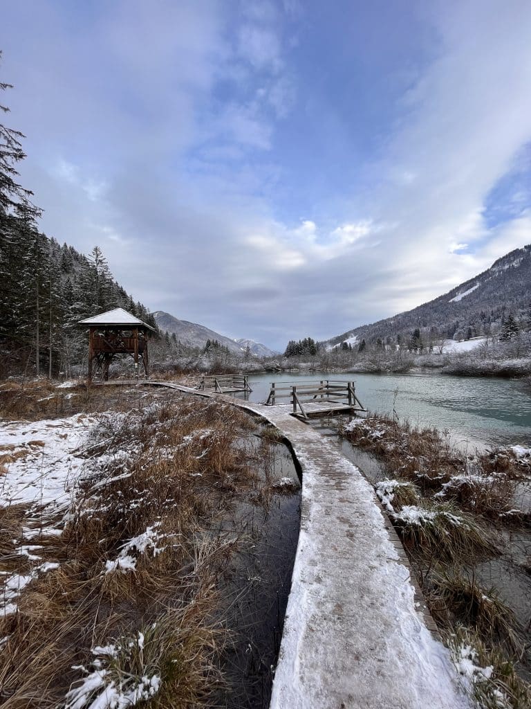 Réserve Zelenci