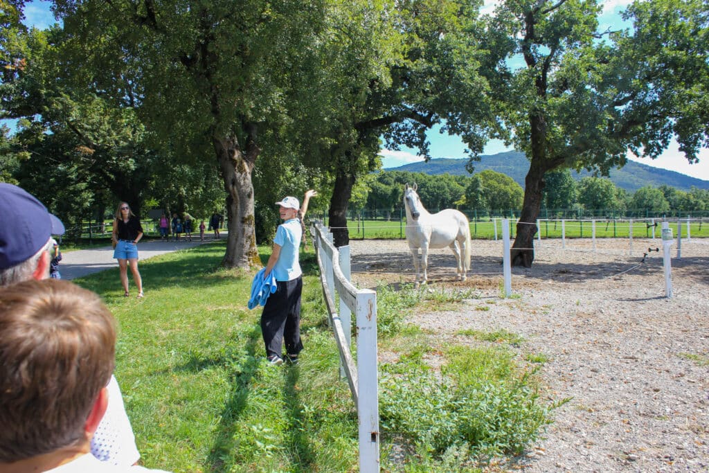 Haras de Lipica