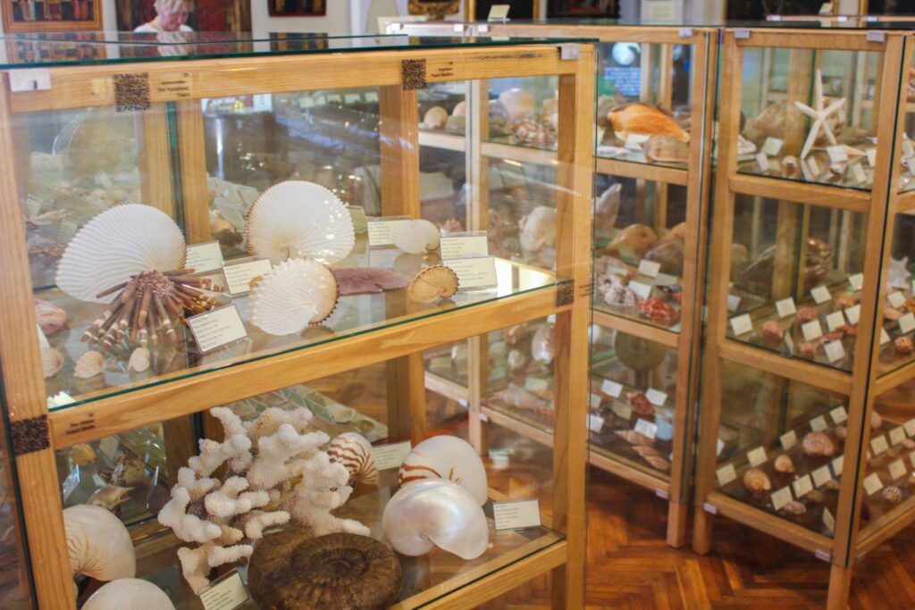 Musée du coquillage Cavtat