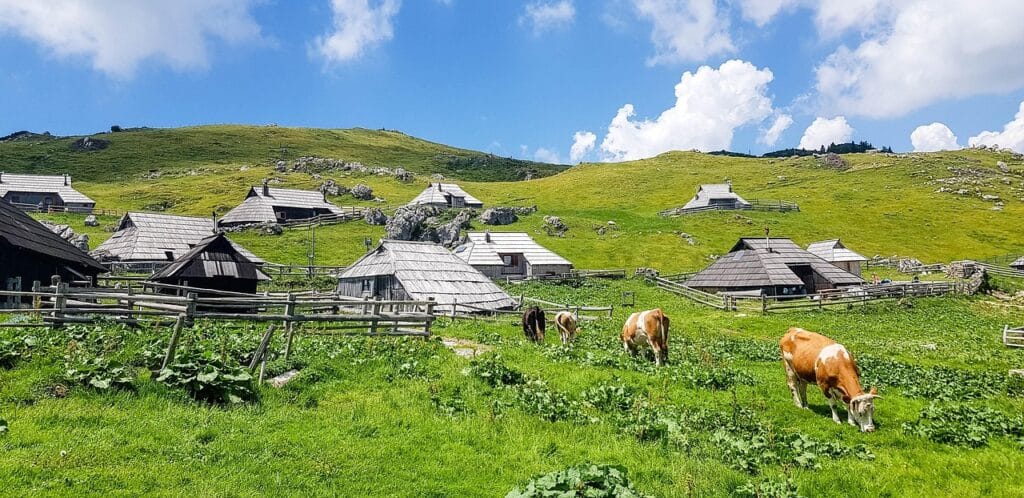 Velika Planina