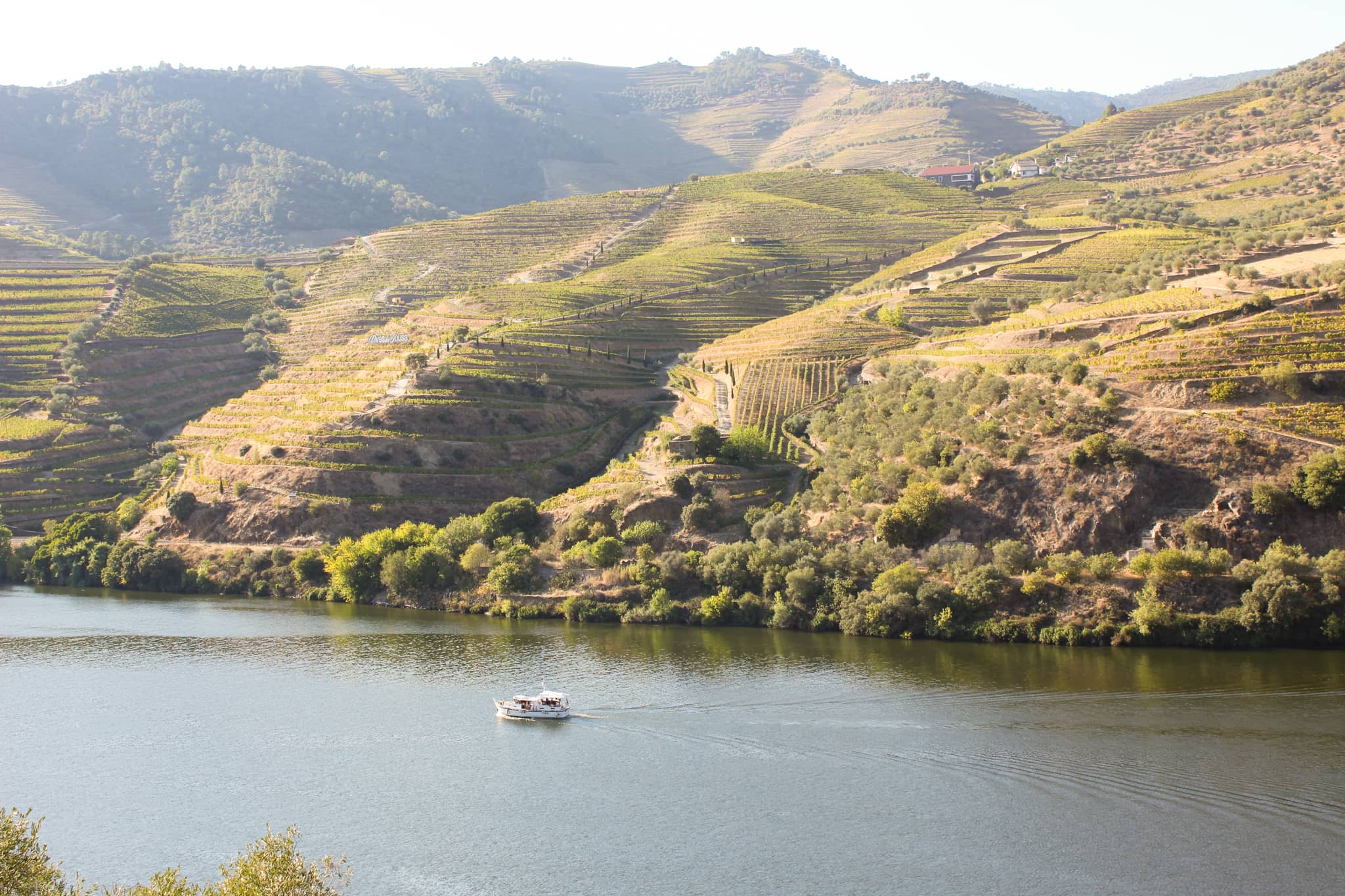 Vallée du Douro